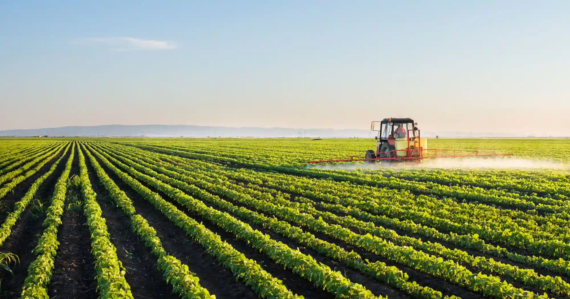Sprayer in green field